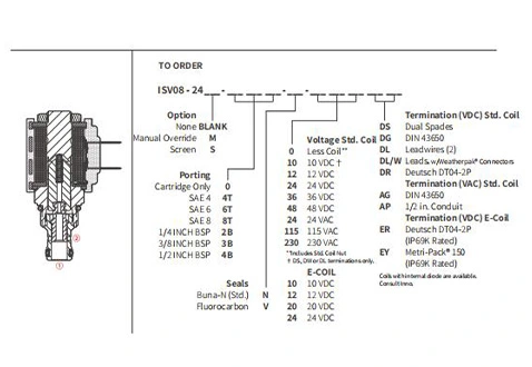 Leistung/Dimension/Schnitt zeichnung der ISV08-24 Spule 2-Wege-N. C. Magnetventil